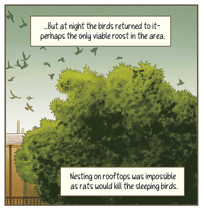 https://cdn.tinyview.com/thenib/2023/01/10/ecologies-of-houston/TC10.jpg