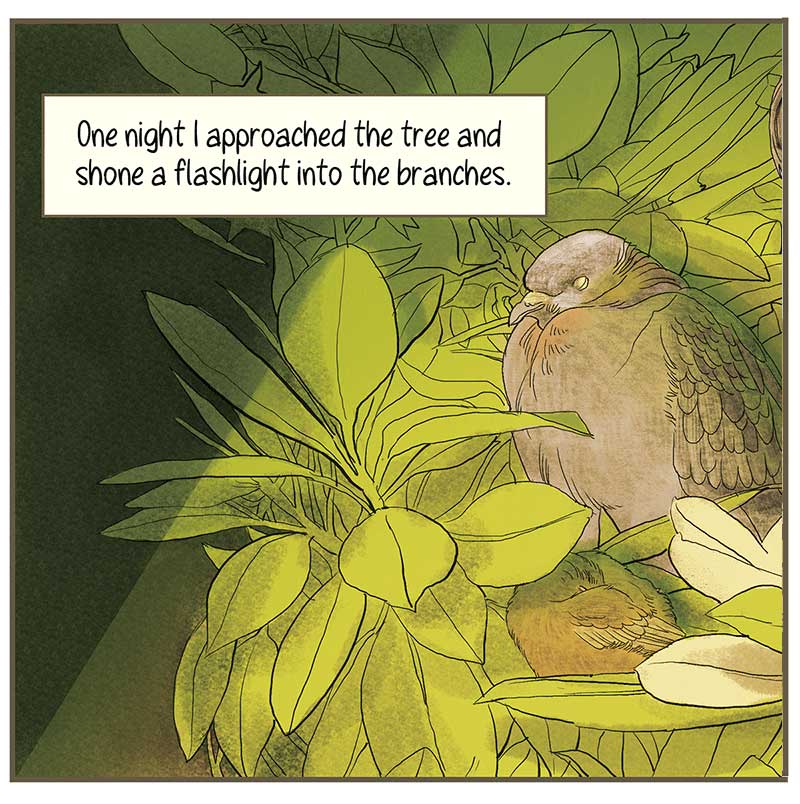 https://cdn.tinyview.com/thenib/2023/01/10/ecologies-of-houston/TC11.jpg
