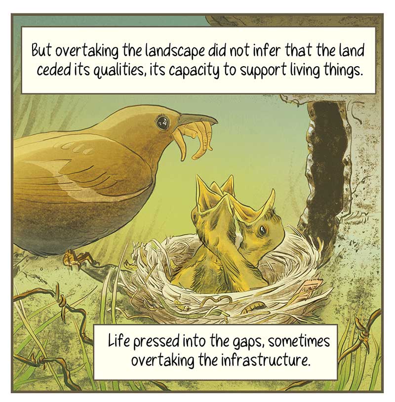 https://cdn.tinyview.com/thenib/2023/01/10/ecologies-of-houston/TC5.jpg