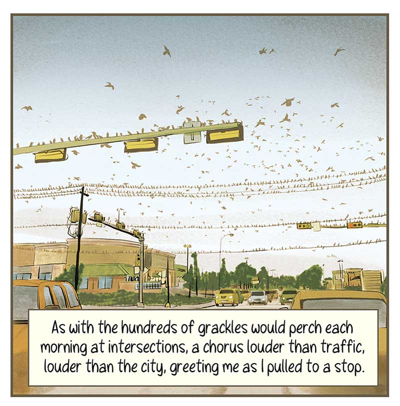 https://cdn.tinyview.com/thenib/2023/01/10/ecologies-of-houston/TC6.jpg