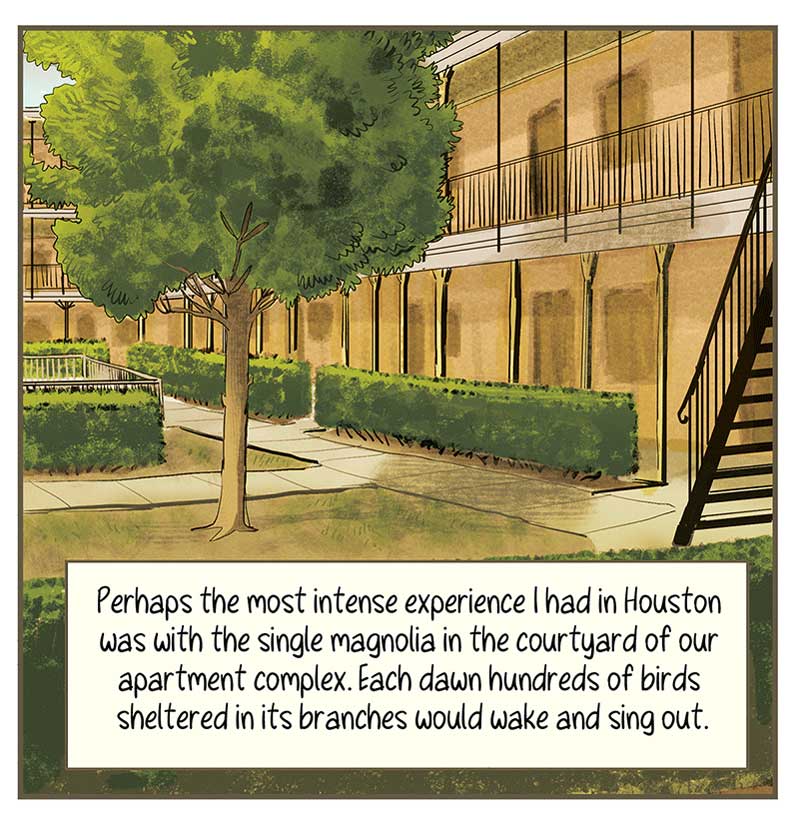 https://cdn.tinyview.com/thenib/2023/01/10/ecologies-of-houston/TC8.jpg