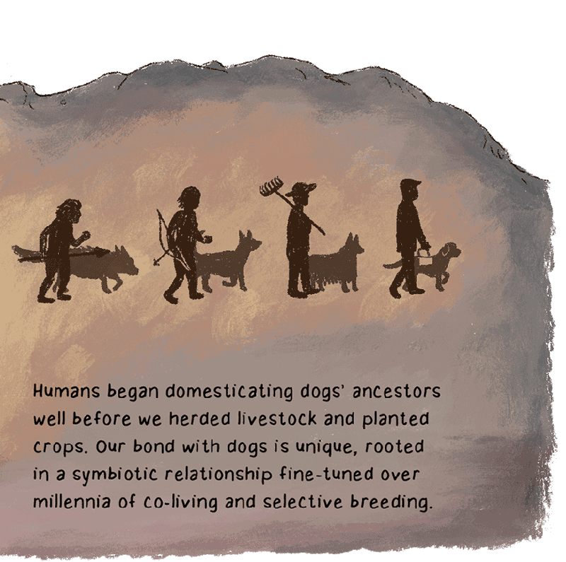 https://cdn.tinyview.com/thenib/2023/06/06/working-like-a-dog/A12.png