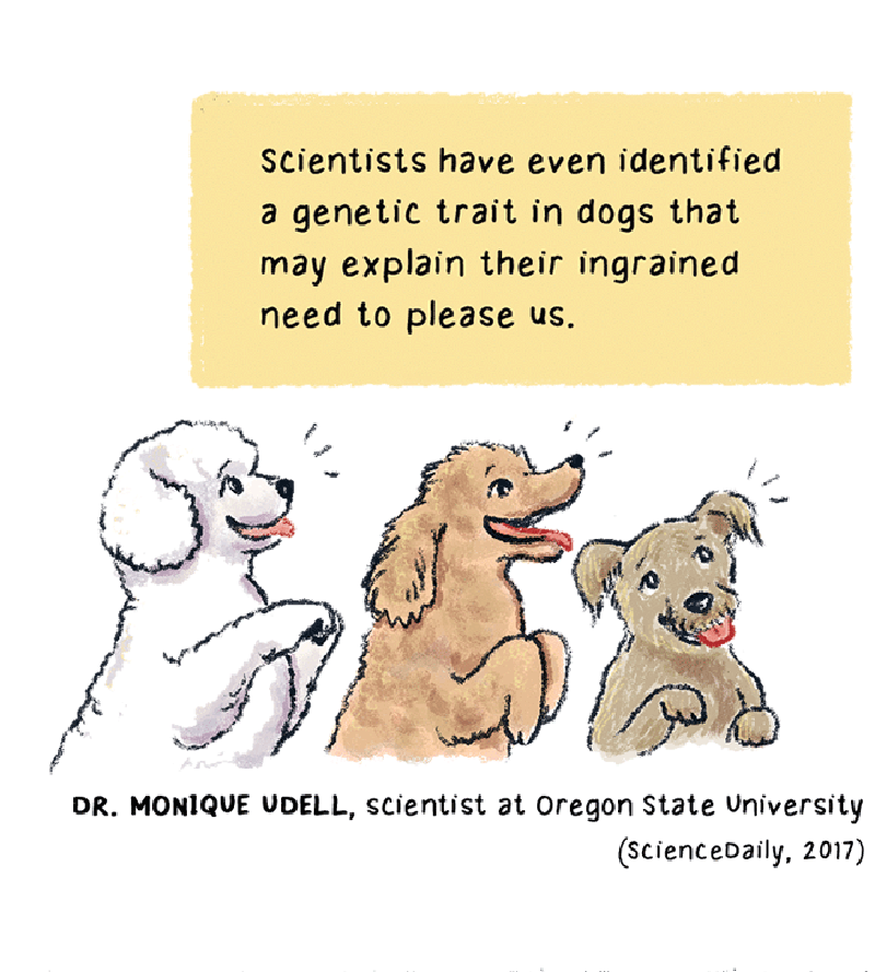 https://cdn.tinyview.com/thenib/2023/06/06/working-like-a-dog/A13.png