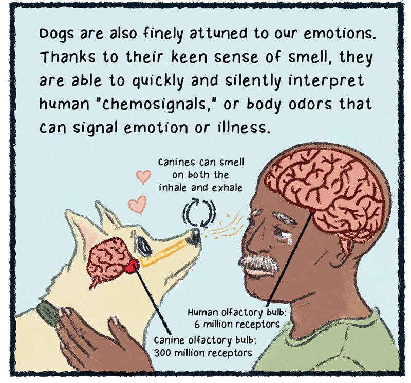 https://cdn.tinyview.com/thenib/2023/06/06/working-like-a-dog/A15.png