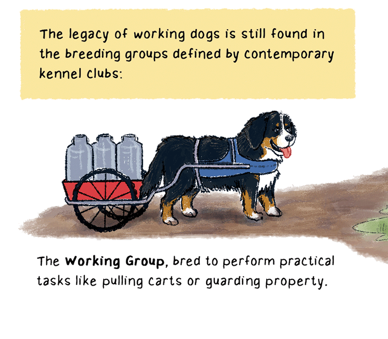 https://cdn.tinyview.com/thenib/2023/06/06/working-like-a-dog/A17.png