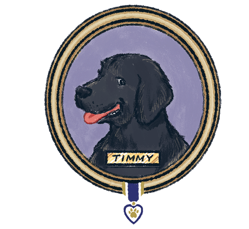 https://cdn.tinyview.com/thenib/2023/06/06/working-like-a-dog/A2a.png