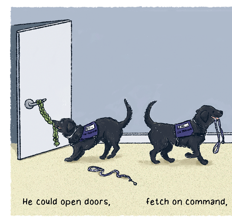 https://cdn.tinyview.com/thenib/2023/06/06/working-like-a-dog/A3.png