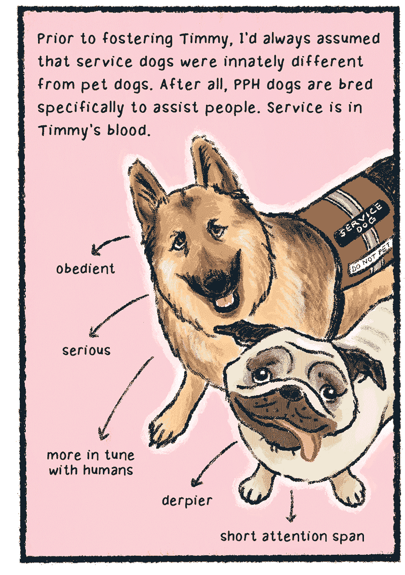 https://cdn.tinyview.com/thenib/2023/06/06/working-like-a-dog/A9.png
