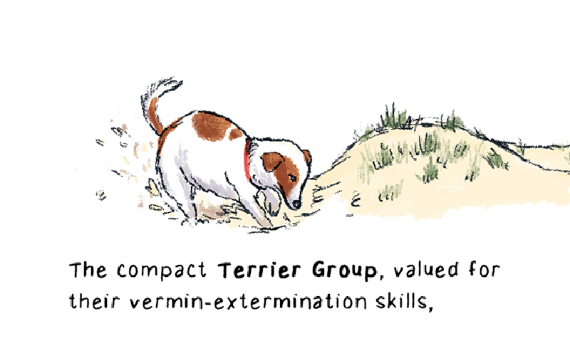 https://cdn.tinyview.com/thenib/2023/06/06/working-like-a-dog/B_0010_Layer-12.png