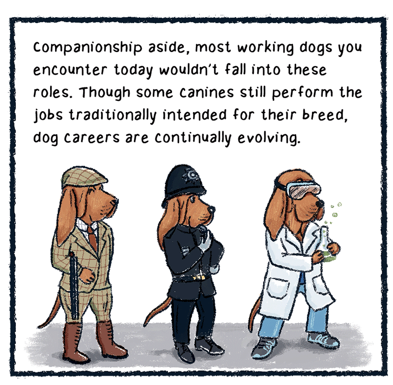 https://cdn.tinyview.com/thenib/2023/06/06/working-like-a-dog/B_0012_Layer-13.png