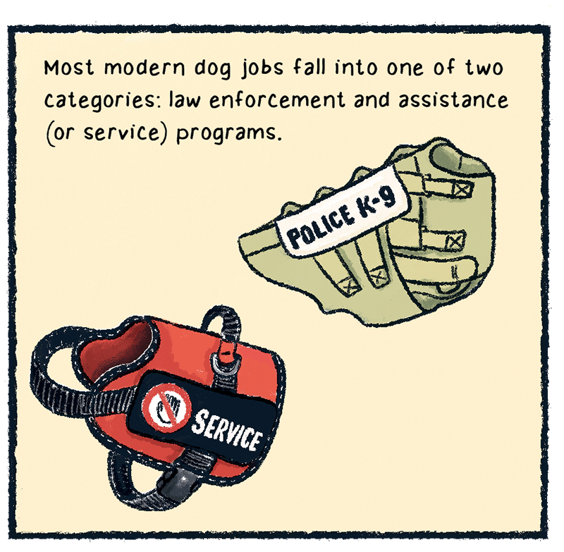 https://cdn.tinyview.com/thenib/2023/06/06/working-like-a-dog/B_0013_Layer-14.png
