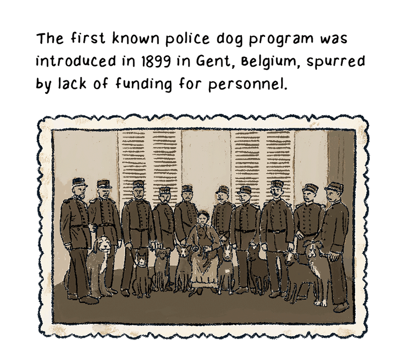 https://cdn.tinyview.com/thenib/2023/06/06/working-like-a-dog/C_0000_Layer-2.png