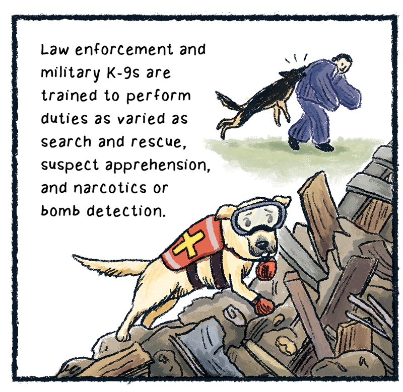 https://cdn.tinyview.com/thenib/2023/06/06/working-like-a-dog/C_0002_Layer-3.png