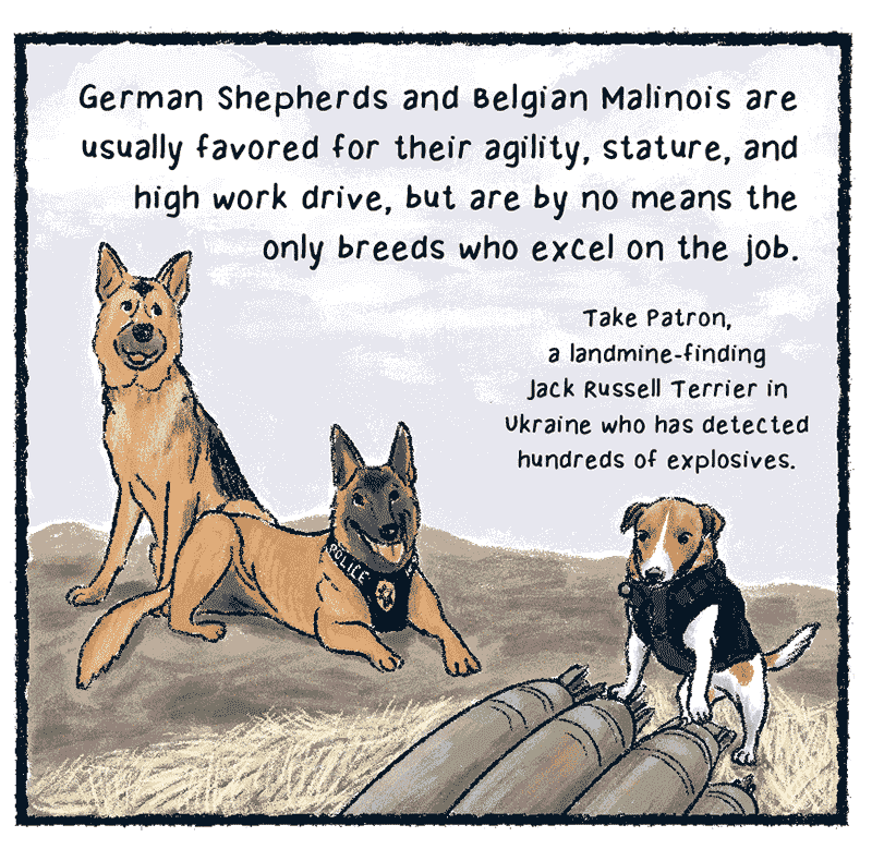 https://cdn.tinyview.com/thenib/2023/06/06/working-like-a-dog/C_0003_Layer-10.png