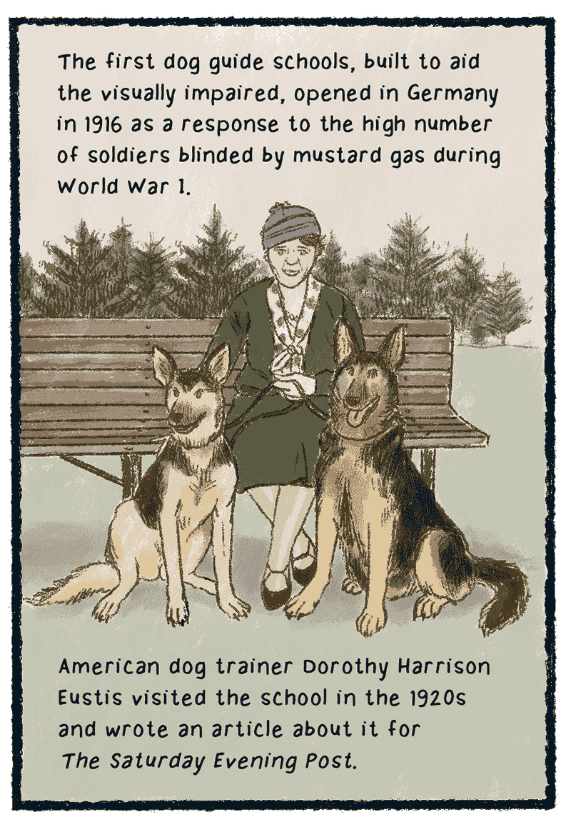 https://cdn.tinyview.com/thenib/2023/06/06/working-like-a-dog/C_0007_Layer-8.png