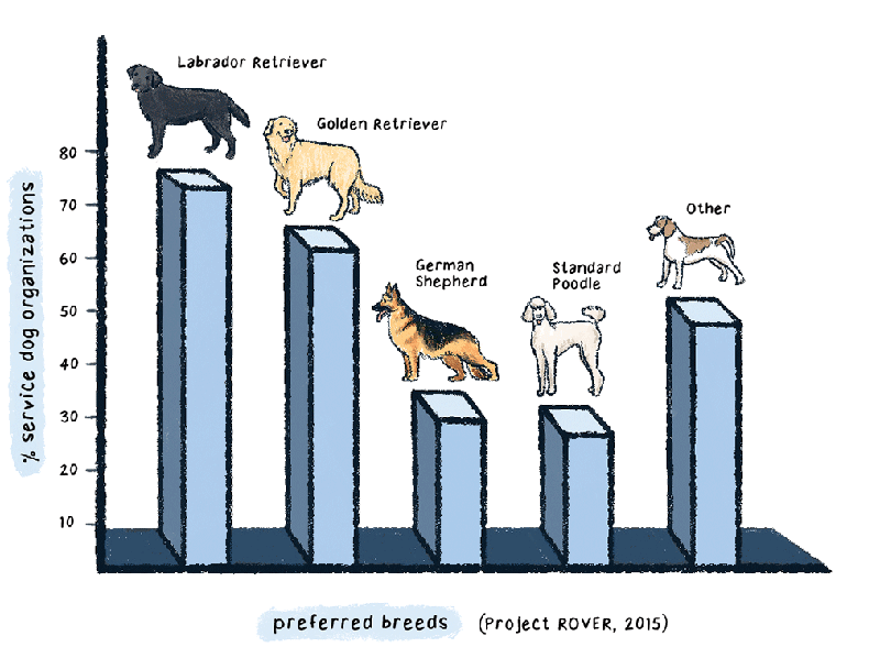 https://cdn.tinyview.com/thenib/2023/06/06/working-like-a-dog/D_0004_Layer-6b.png