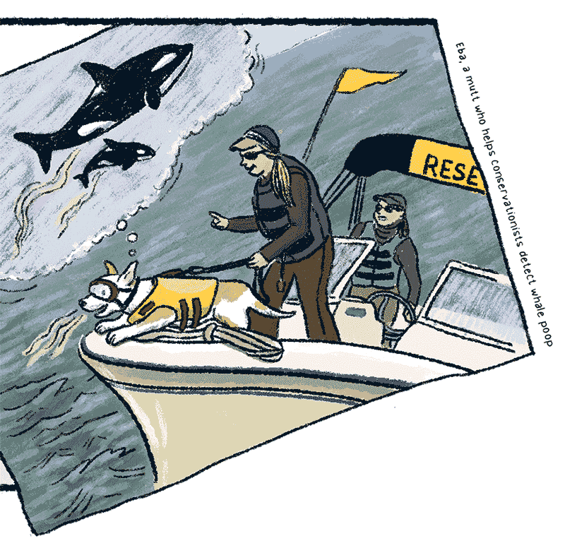https://cdn.tinyview.com/thenib/2023/06/06/working-like-a-dog/E_0003_Layer-11.png