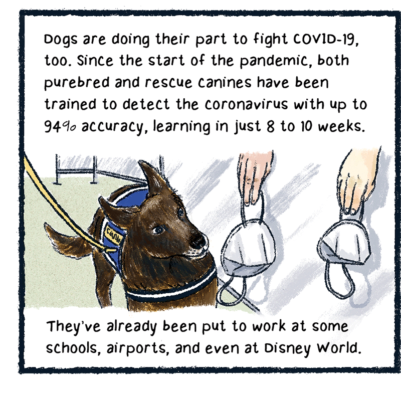 https://cdn.tinyview.com/thenib/2023/06/06/working-like-a-dog/E_0004_Layer-3.png