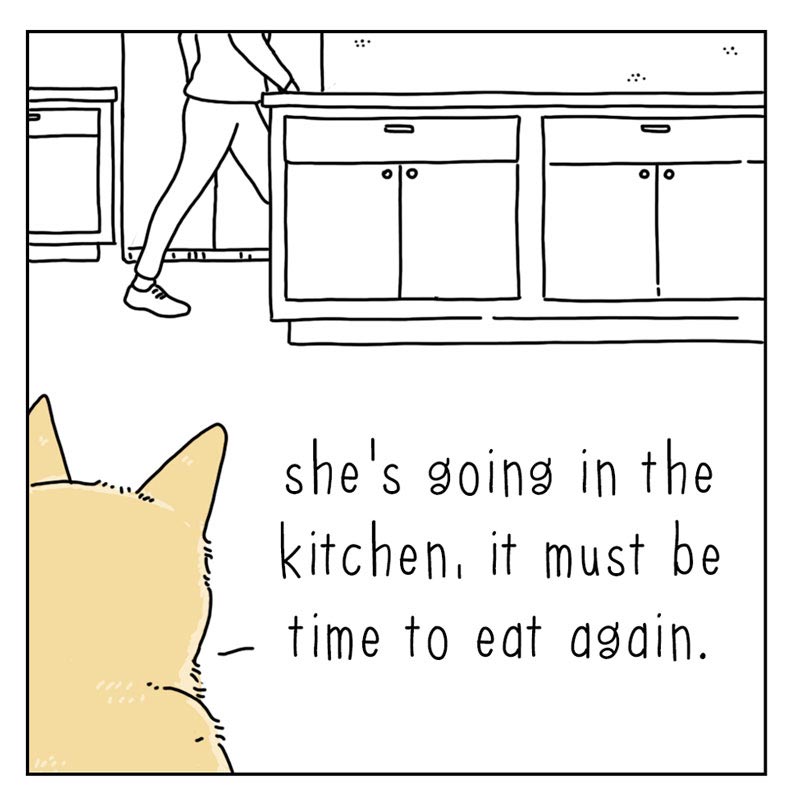 https://cdn.tinyview.com/they-can-talk/2022/06/03/kitchen/cat_kitchen_01.jpg