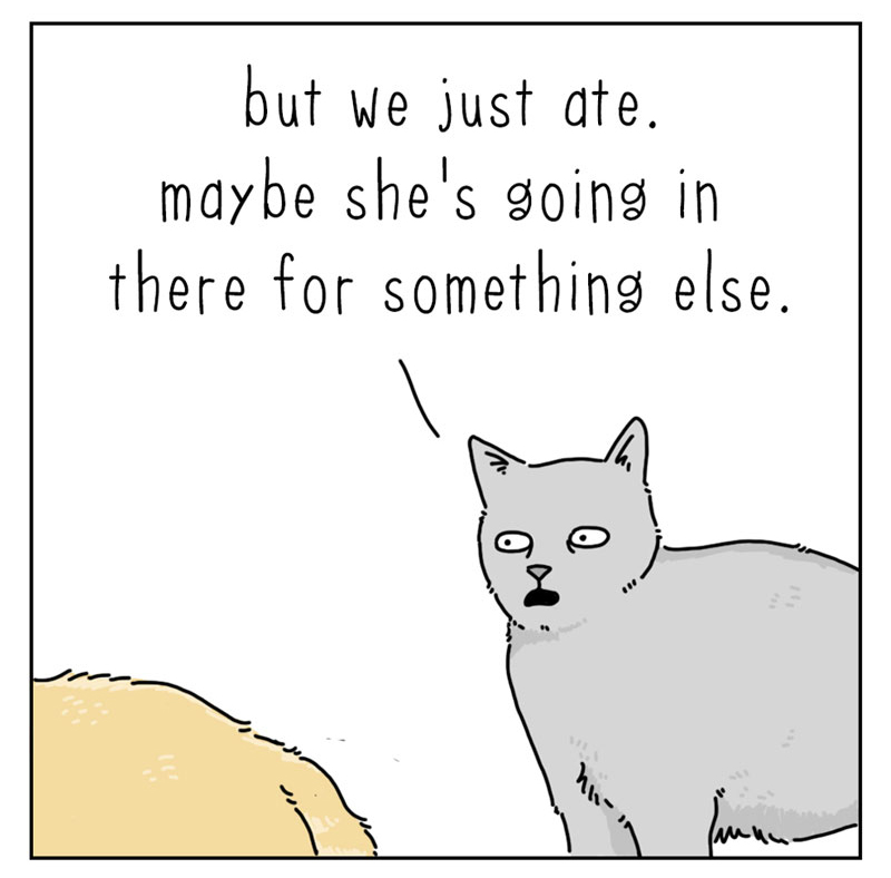 https://cdn.tinyview.com/they-can-talk/2022/06/03/kitchen/cat_kitchen_02.jpg
