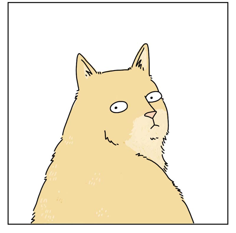 https://cdn.tinyview.com/they-can-talk/2022/06/03/kitchen/cat_kitchen_04.jpg