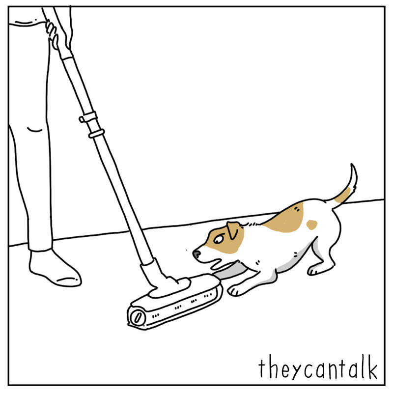 https://cdn.tinyview.com/they-can-talk/2022/06/06/duty/dog_vacuum4.jpg