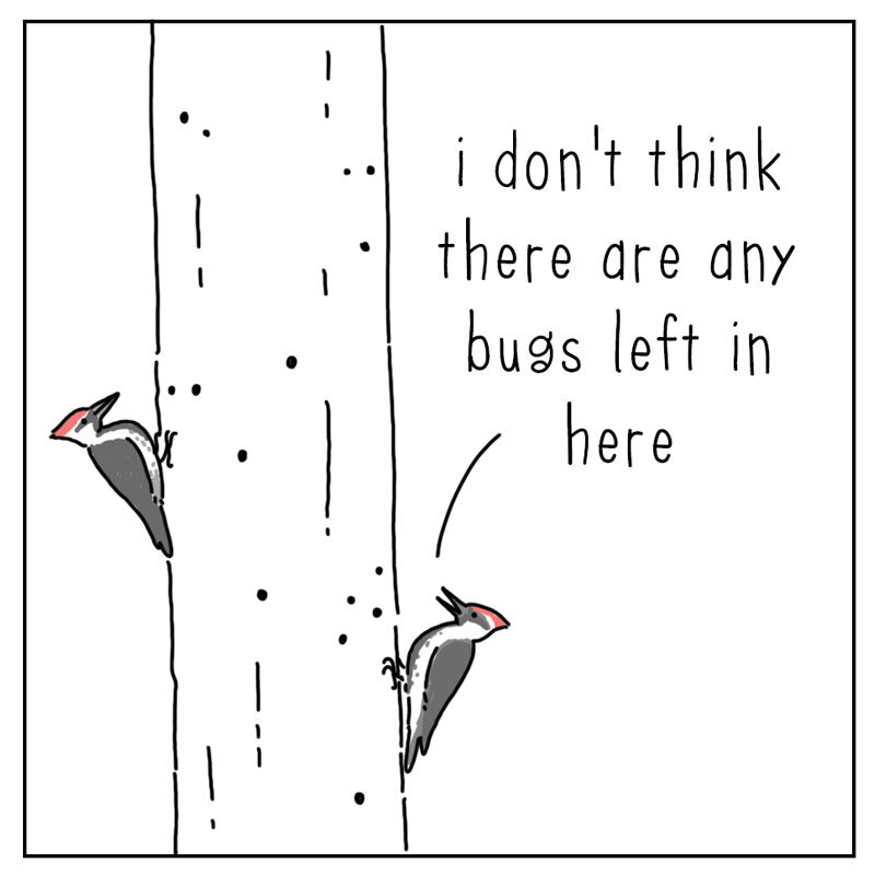 https://cdn.tinyview.com/they-can-talk/2022/06/10/routine/routine_2.jpg