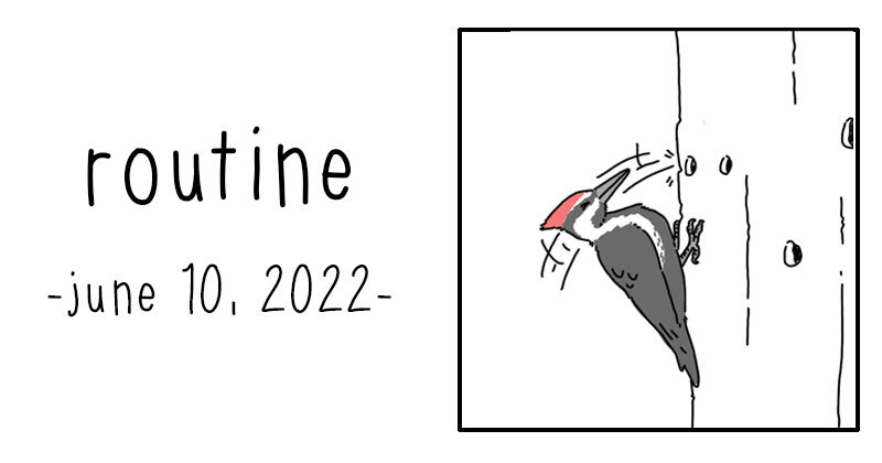 routine