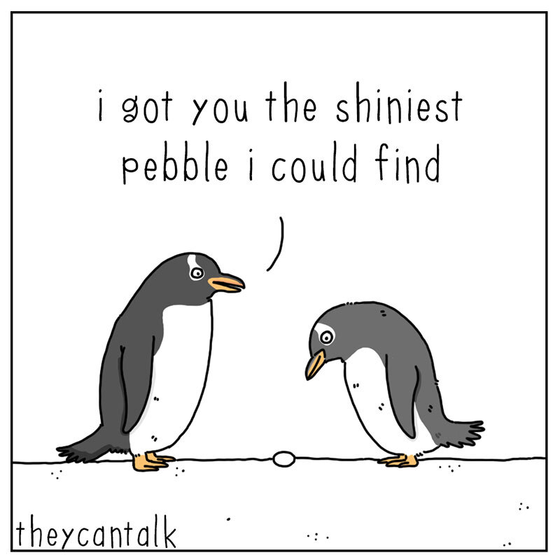 https://cdn.tinyview.com/they-can-talk/2022/06/13/proposal/penguin_proposal_1.jpg