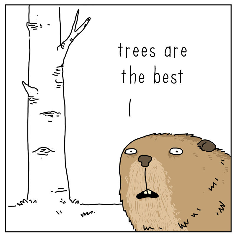 https://cdn.tinyview.com/they-can-talk/2022/06/17/tree/beaver_trees_1.jpg