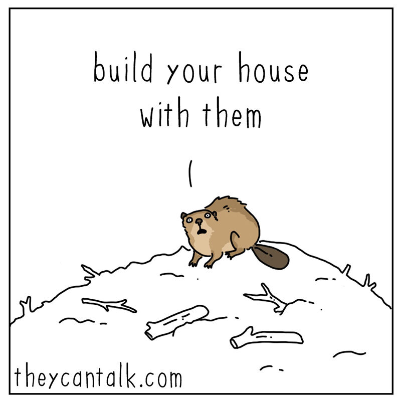 https://cdn.tinyview.com/they-can-talk/2022/06/17/tree/beaver_trees_3.jpg