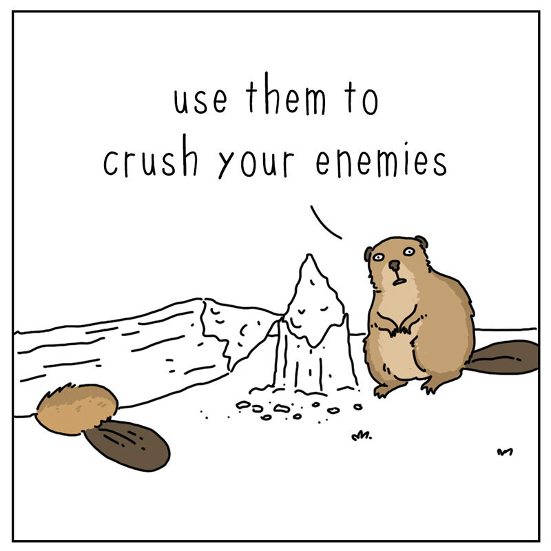 https://cdn.tinyview.com/they-can-talk/2022/06/17/tree/beaver_trees_4.jpg