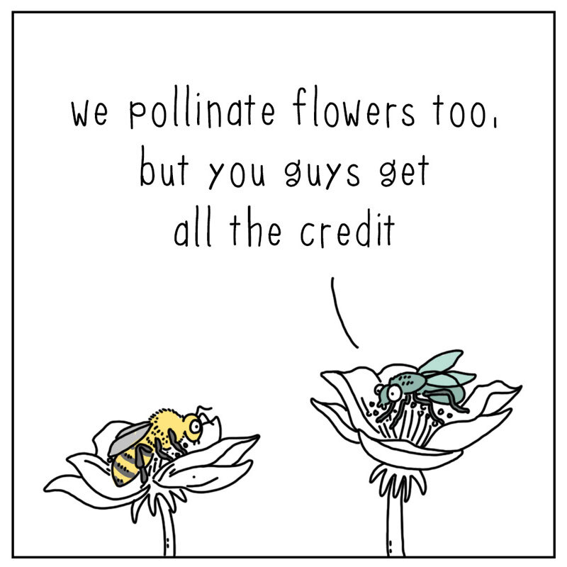 https://cdn.tinyview.com/they-can-talk/2022/06/20/pollinate/fly_pollinate1.jpg