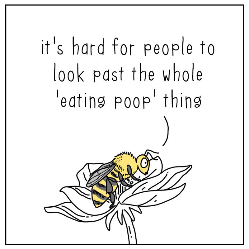 https://cdn.tinyview.com/they-can-talk/2022/06/20/pollinate/fly_pollinate2.jpg