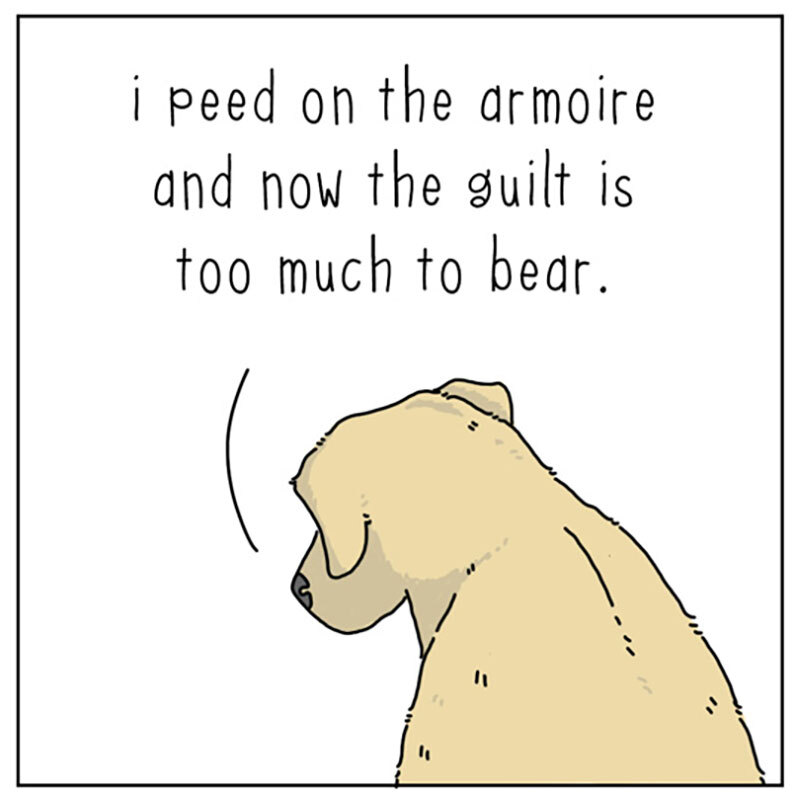 https://cdn.tinyview.com/they-can-talk/2022/06/24/armoire/cat_guilt1.jpg