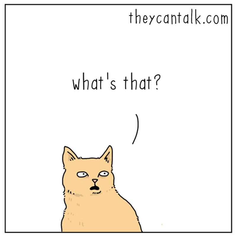 https://cdn.tinyview.com/they-can-talk/2022/06/24/armoire/cat_guilt2.jpg