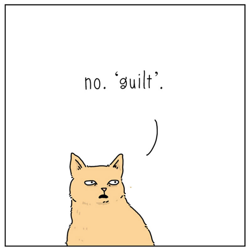 https://cdn.tinyview.com/they-can-talk/2022/06/24/armoire/cat_guilt4.jpg