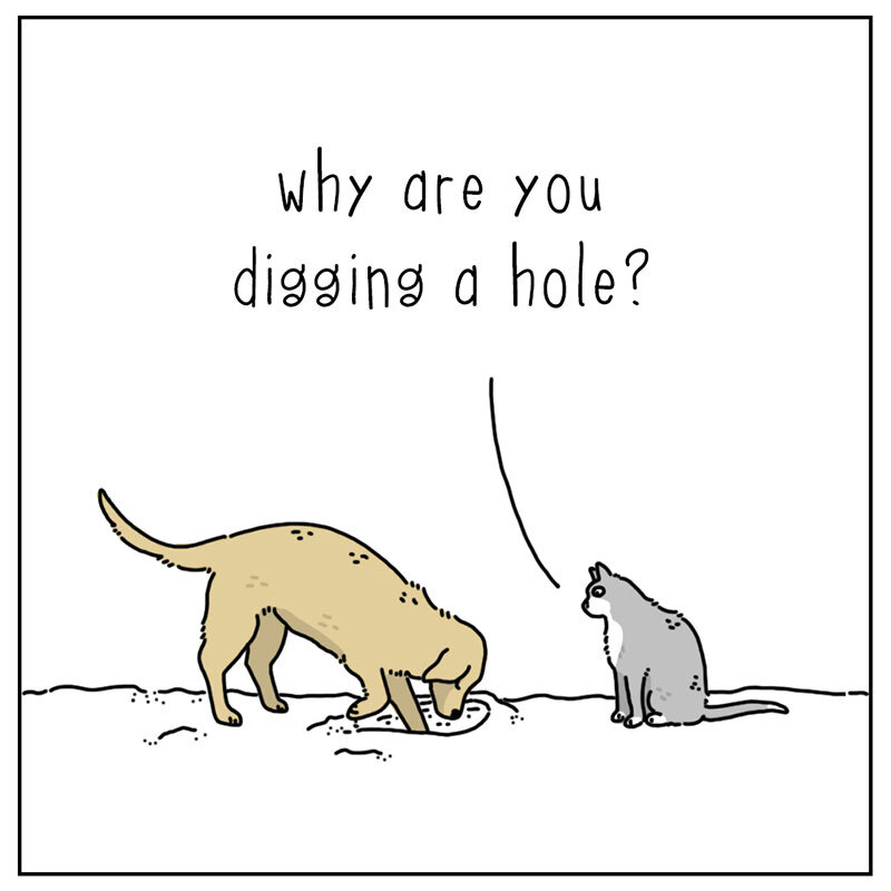 https://cdn.tinyview.com/they-can-talk/2022/06/27/reason/cat_reason1.jpg