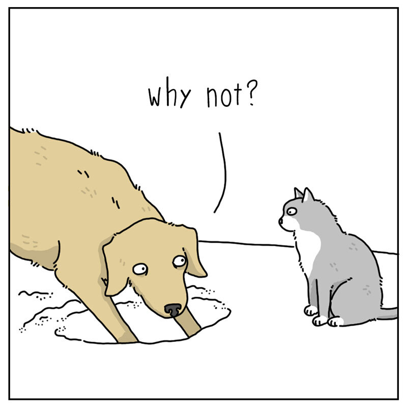 https://cdn.tinyview.com/they-can-talk/2022/06/27/reason/cat_reason2.jpg