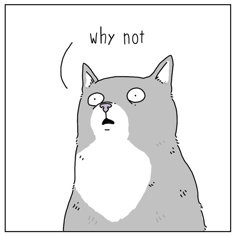 https://cdn.tinyview.com/they-can-talk/2022/06/27/reason/cat_reason3.jpg