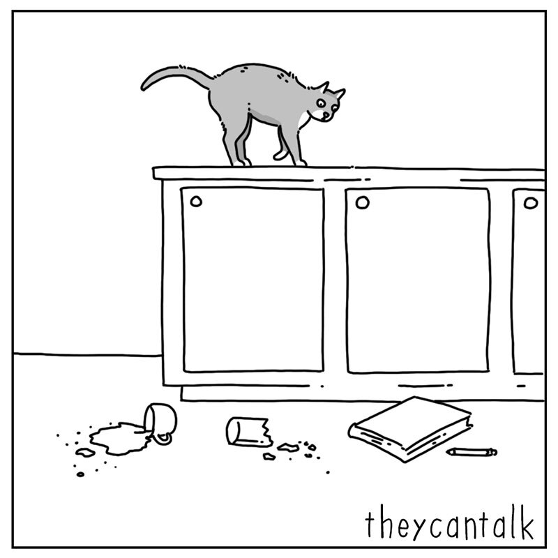 https://cdn.tinyview.com/they-can-talk/2022/06/27/reason/cat_reason4.jpg