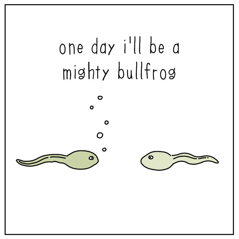 https://cdn.tinyview.com/they-can-talk/2022/07/01/dream/tadpole_dream1.jpg