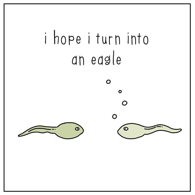 https://cdn.tinyview.com/they-can-talk/2022/07/01/dream/tadpole_dream2.jpg