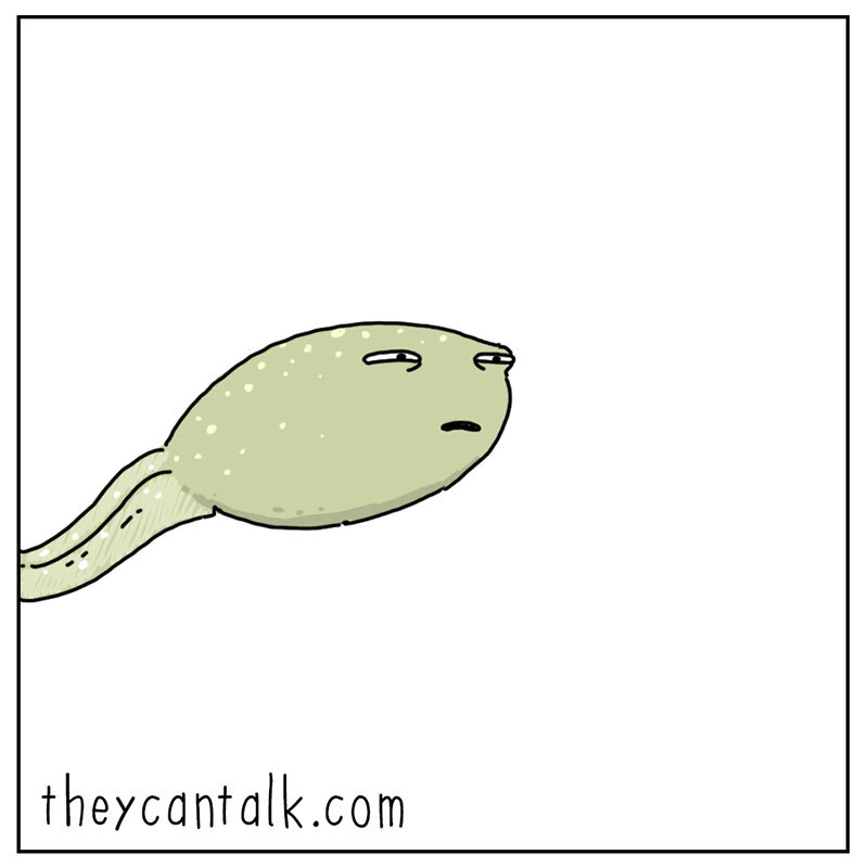https://cdn.tinyview.com/they-can-talk/2022/07/01/dream/tadpole_dream3.jpg