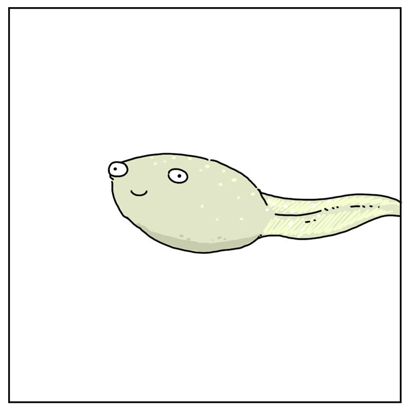 https://cdn.tinyview.com/they-can-talk/2022/07/01/dream/tadpole_dream4.jpg