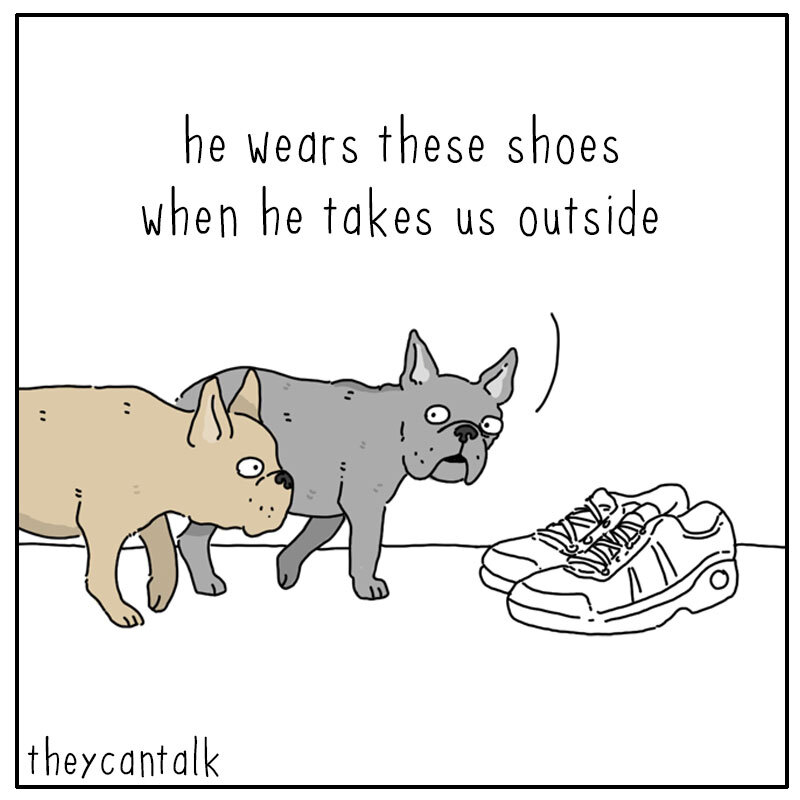 https://cdn.tinyview.com/they-can-talk/2022/07/04/shoes/dog_shoes1.jpg