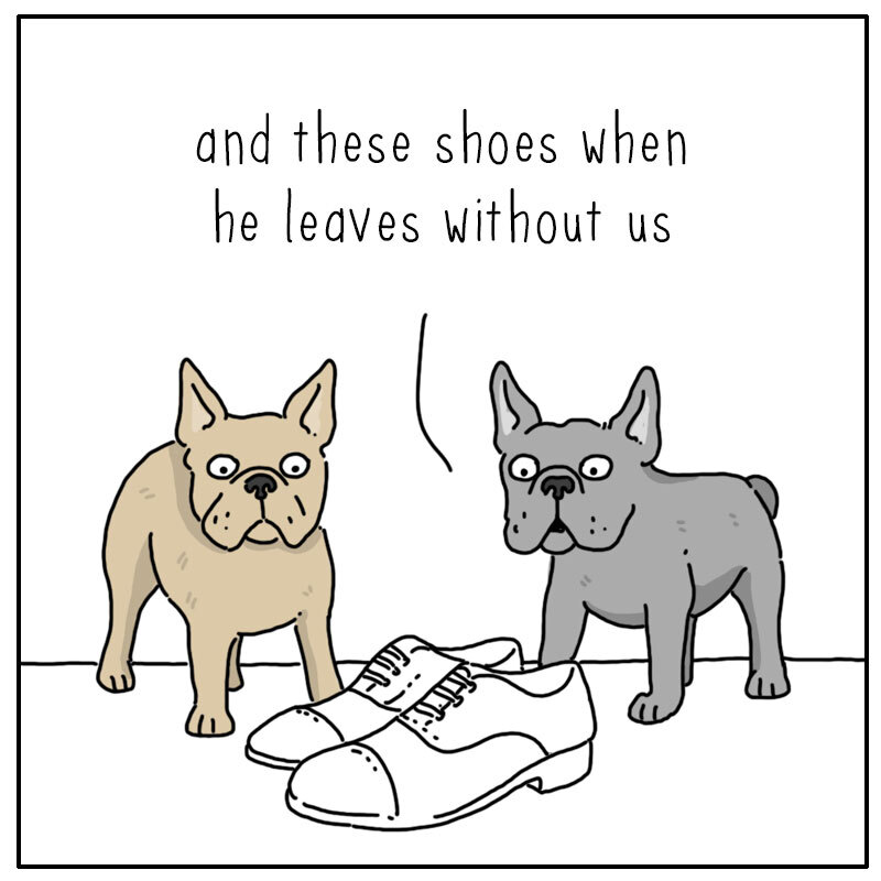 https://cdn.tinyview.com/they-can-talk/2022/07/04/shoes/dog_shoes2.jpg