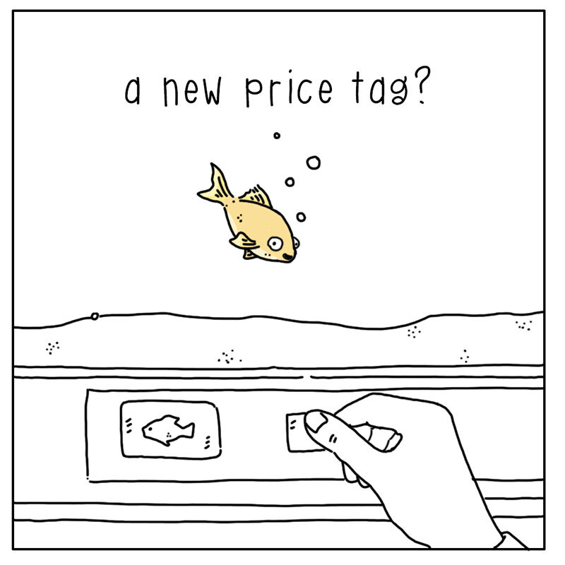 https://cdn.tinyview.com/they-can-talk/2022/07/09/price/fish_price1.jpg