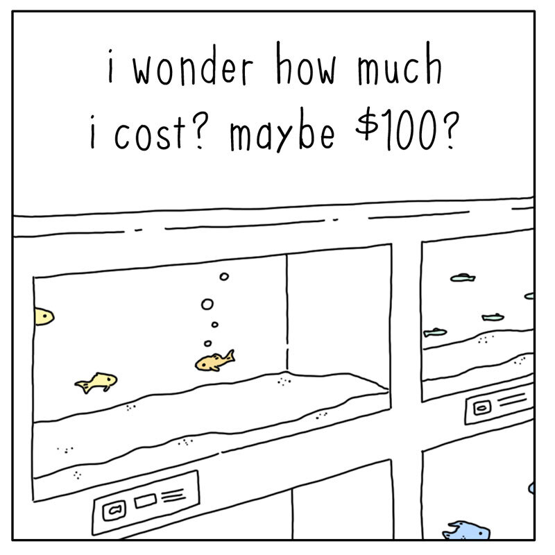 https://cdn.tinyview.com/they-can-talk/2022/07/09/price/fish_price2.jpg