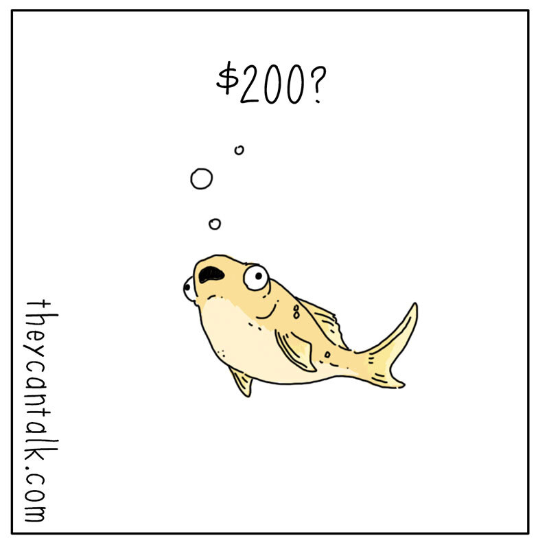 https://cdn.tinyview.com/they-can-talk/2022/07/09/price/fish_price3.jpg